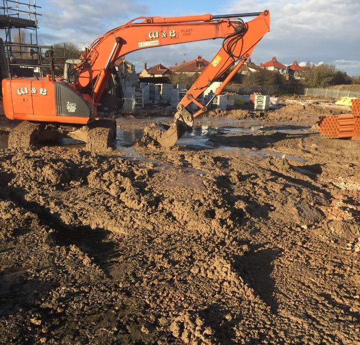 Brunswick List Image